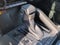 2026 Toyota Tacoma i-FORCE MAX Tacoma Limited